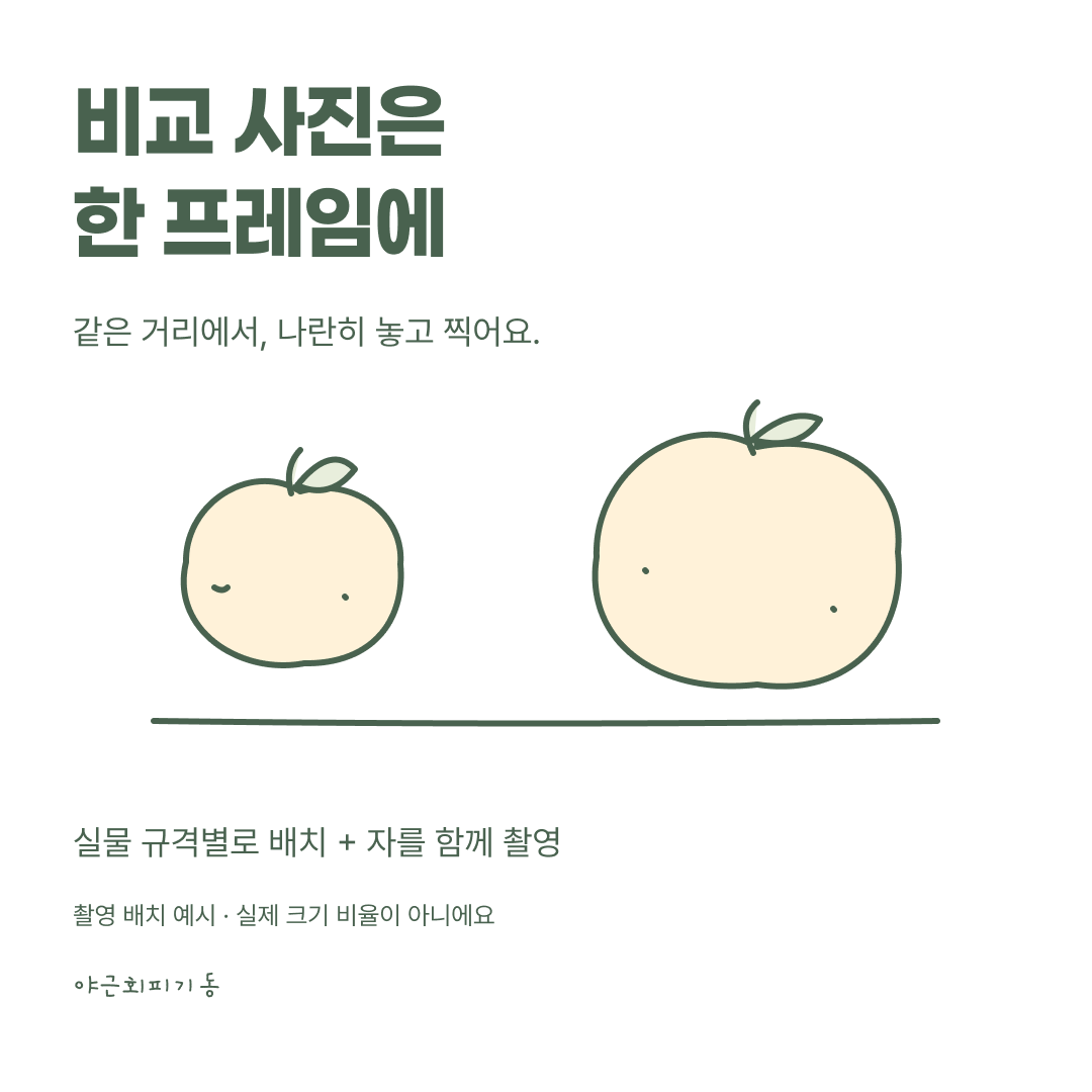 비교 사진은 한 프레임에