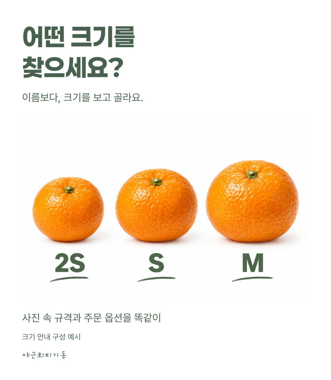 어떤 크기를 찾으세요? 감귤 크기 안내 구성